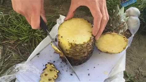 バーベキュー パイナップル 丸焼き|バーベキューで食べたい豚バラパイナップルの作り方